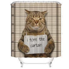 Load image into Gallery viewer, Funny Cat Take A Bath Printed 3d Bath Curtains Waterproof Polyester Fabric Washable Bathroom Shower Curtain Screen With Hooks