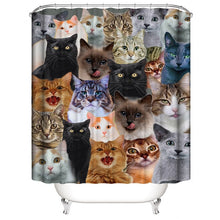 Load image into Gallery viewer, Funny Cat Take A Bath Printed 3d Bath Curtains Waterproof Polyester Fabric Washable Bathroom Shower Curtain Screen With Hooks